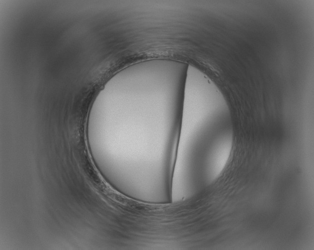 X0000051920687200506241509