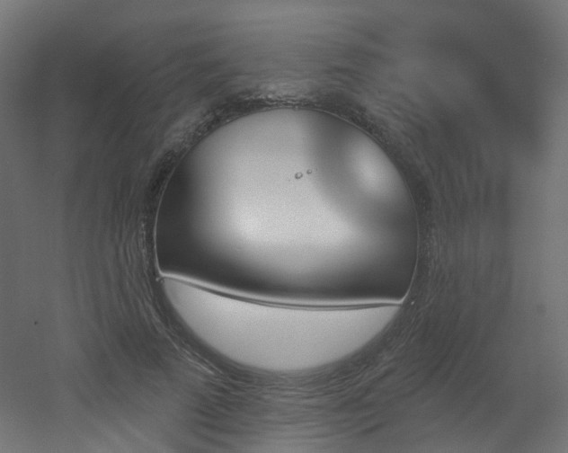 X0000051920689200506241509