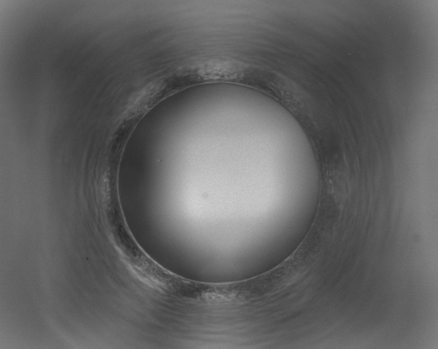 X0000051920690200506241509