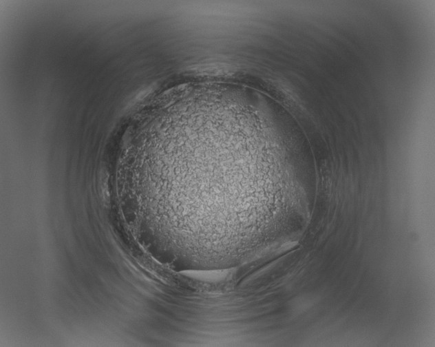 X0000051920692200506241509