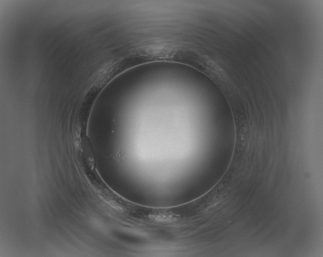X0000051920693200506241509