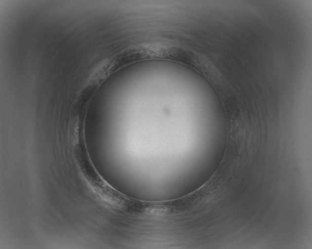 X0000051920694200506241509