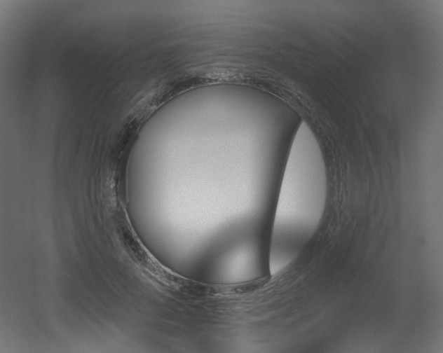 X0000051920696200506241509