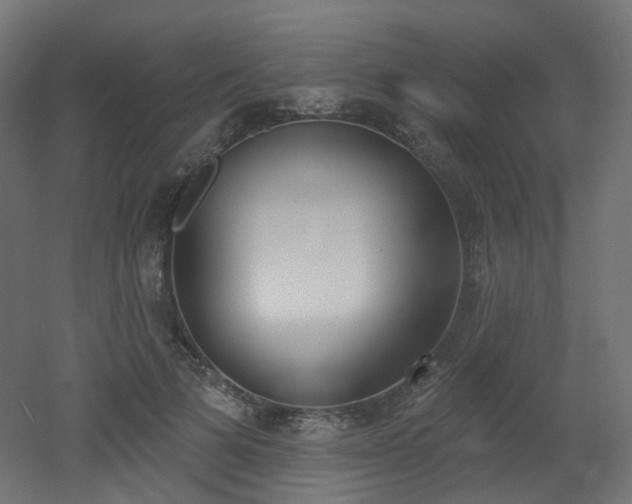 X0000051920697200506241509