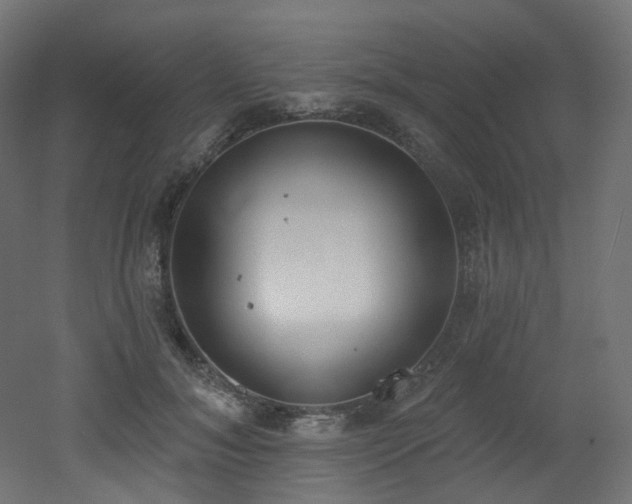 X0000051920700200506241509