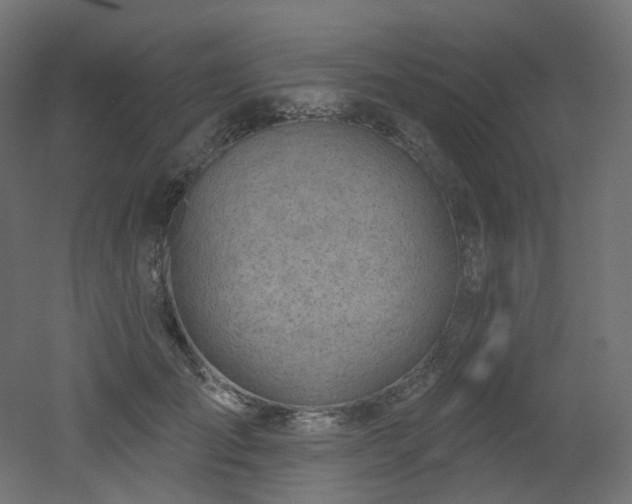 X0000051920701200506241509