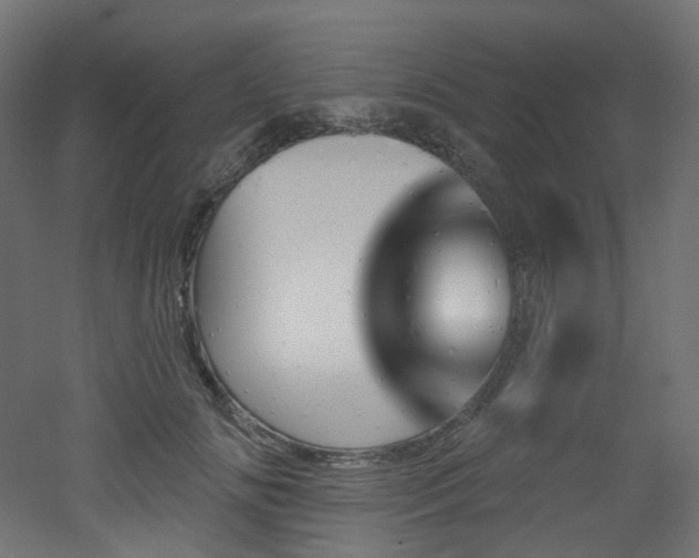 X0000051920702200506241509
