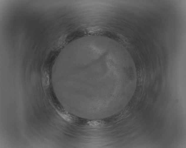 X0000051920703200506241509