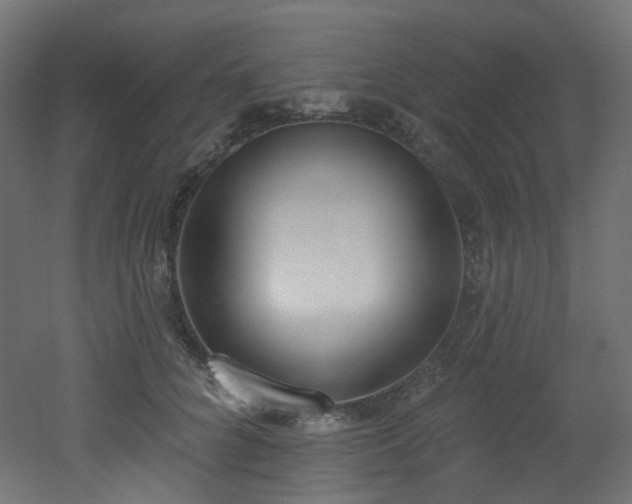 X0000051920704200506241509