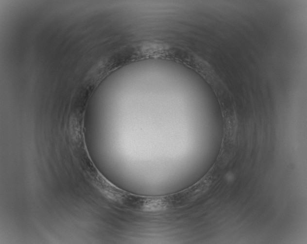 X0000051920705200506241509