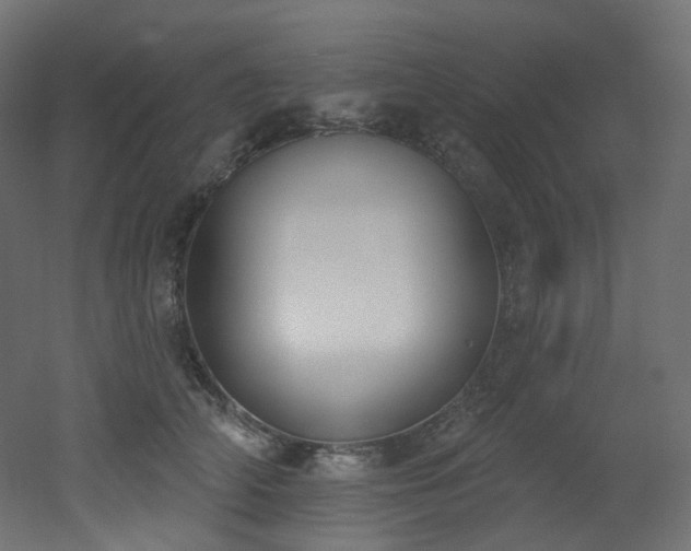 X0000051920706200506241509