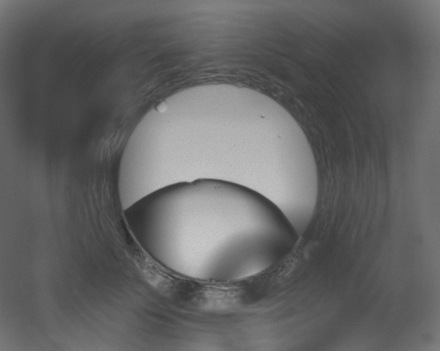 X0000051920707200506241509
