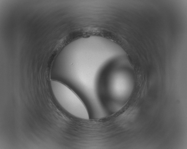 X0000051920708200506241509