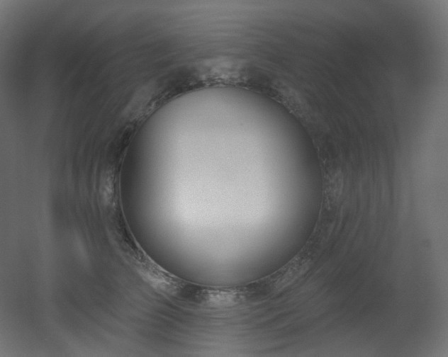 X0000051920709200506241509