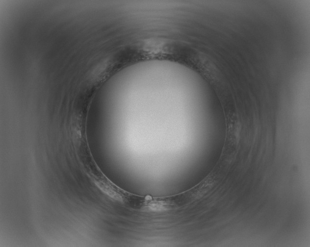 X0000051920710200506241509