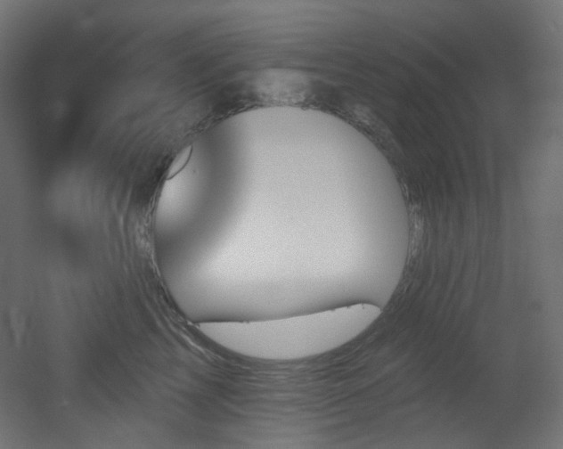 X0000051920713200506241509