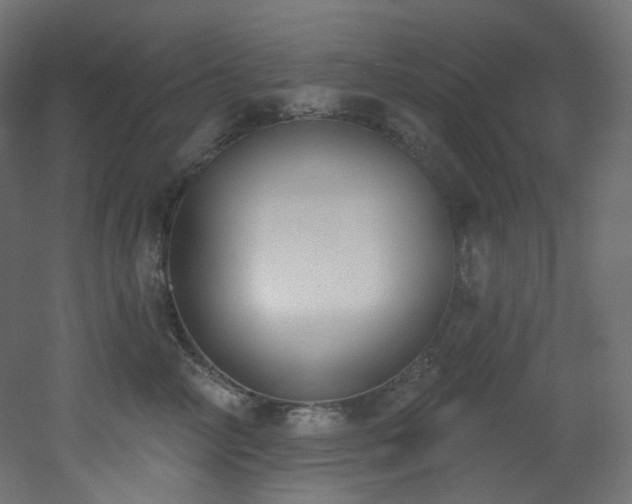 X0000051920714200506241509