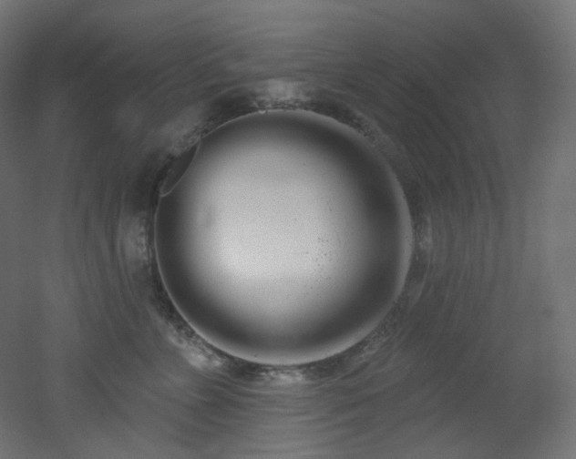 X0000051920715200506241509
