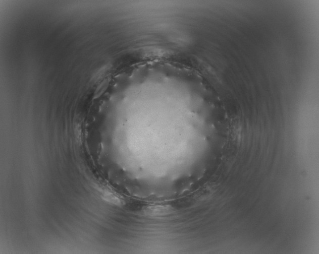 X0000051920716200506241509
