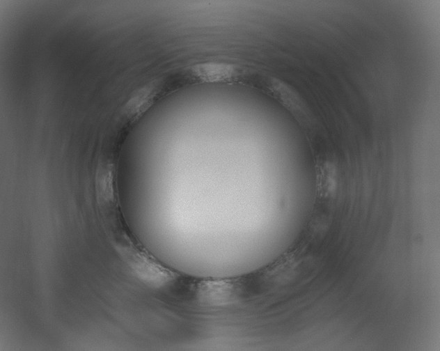 X0000051920717200506241509