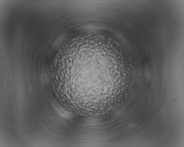 X0000051920718200506241509