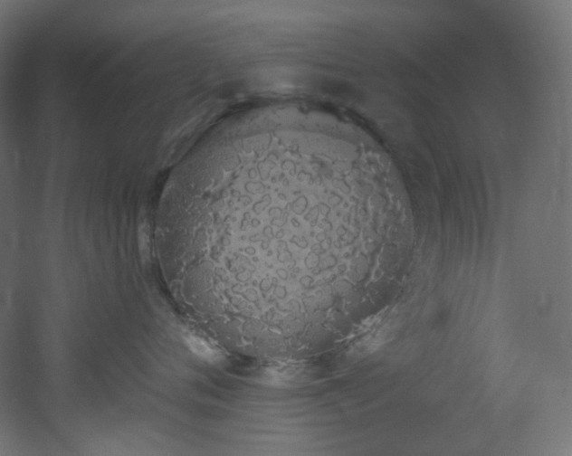 X0000051920720200506241509