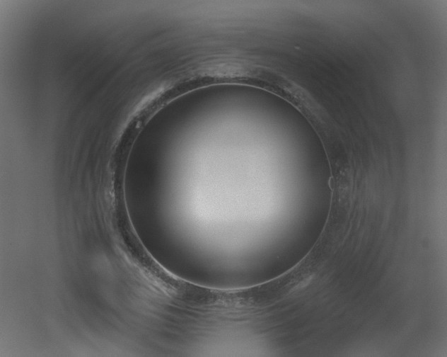 X0000051920727200506241508