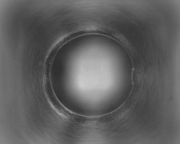 X0000051920728200506241508