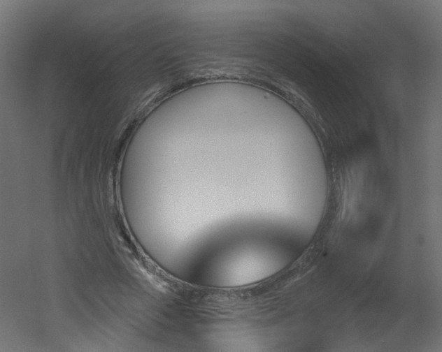 X0000051920729200506241508