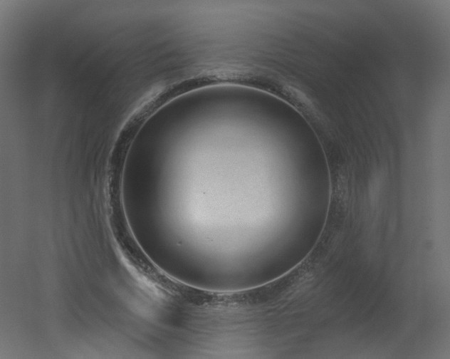 X0000051920730200506241508