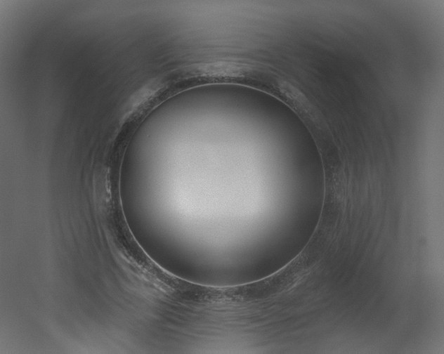 X0000051920731200506241508