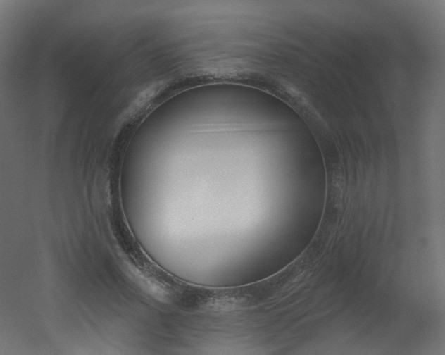 X0000051920734200506241508