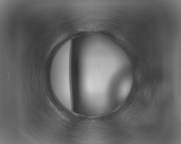 X0000051920735200506241508