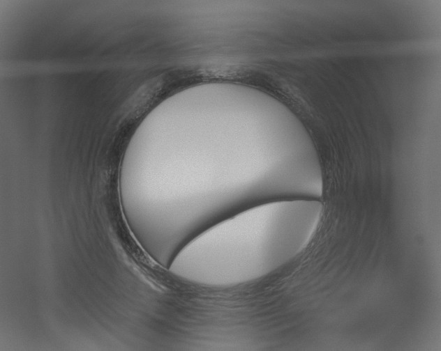 X0000051920738200506241508