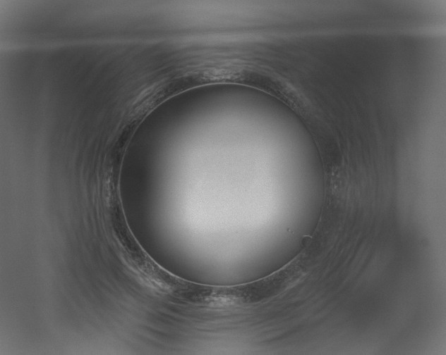 X0000051920741200506241508