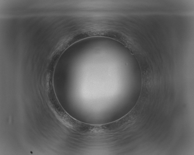 X0000051920742200506241508