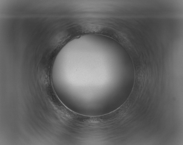 X0000051920743200506241508