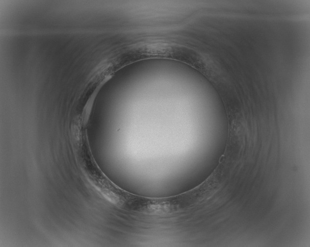 X0000051920744200506241508
