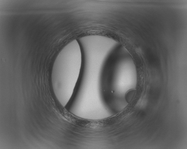 X0000051920745200506241508