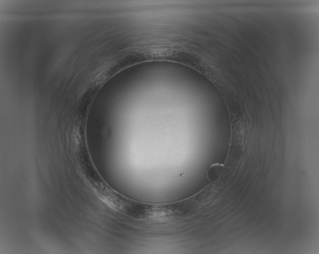 X0000051920746200506241508