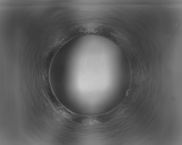 X0000051920747200506241508