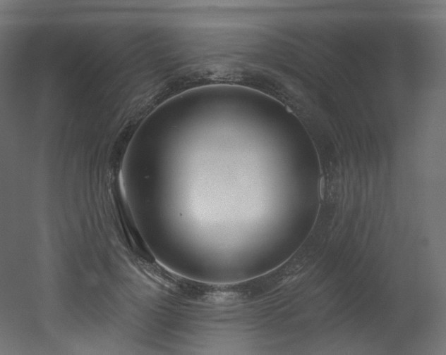 X0000051920748200506241508