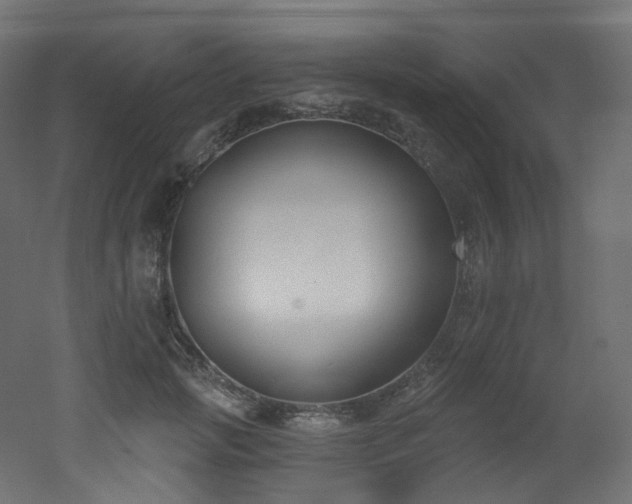 X0000051920749200506241508