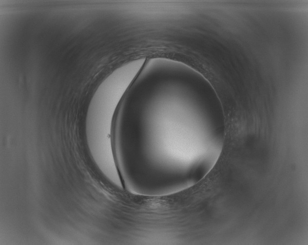 X0000051920750200506241508