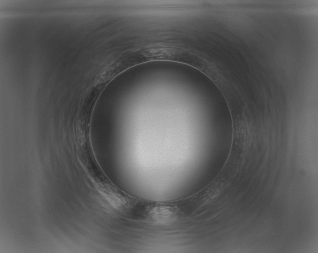 X0000051920751200506241508