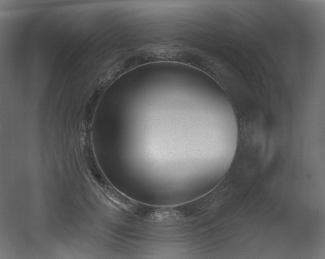 X0000051920752200506241508