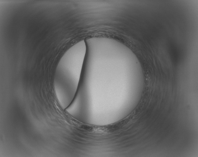 X0000051920753200506241508