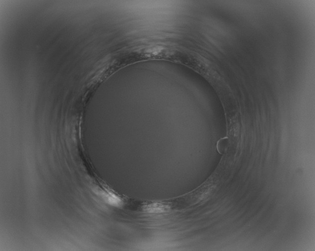 X0000051920754200506241509