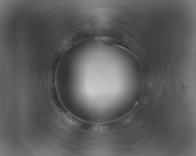 X0000051920760200506241509