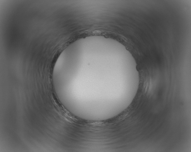 X0000051920761200506241509